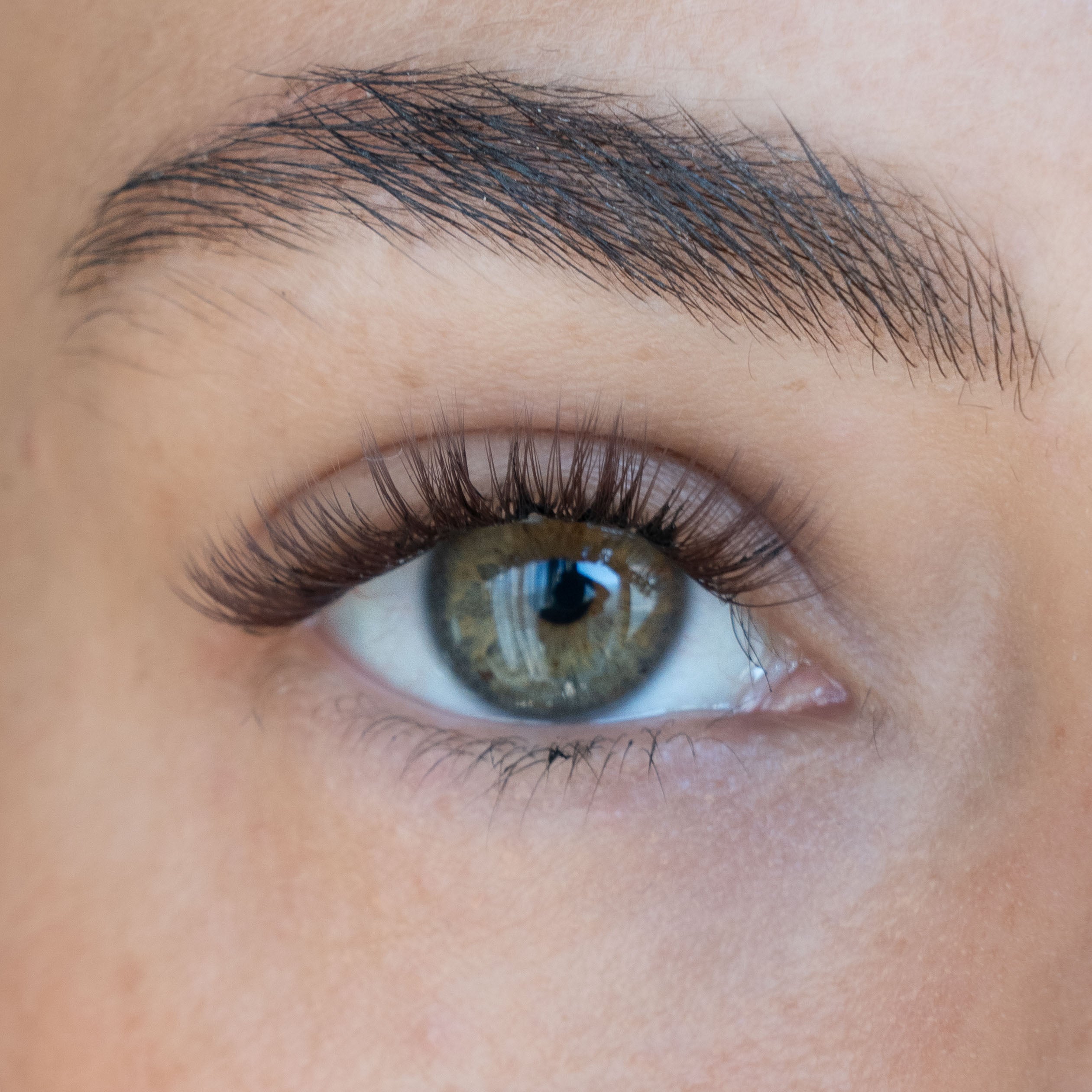 N’0 Brown Lashes