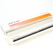 N'6 Medium - Fast Lash